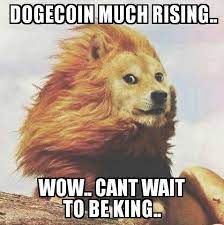 A few days back wsb pumped the price of. Elon Musk On Twitter Dogecoin Is The People S Crypto