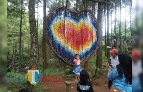 Jul 11, 2021 · cewek berhijab cantik selfie di tempat wisata. Sumbersuko Forest Park Surganya Wisata Hutan Di Kabupaten Malang Malangtimes