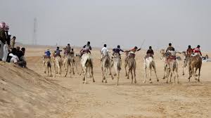 The emmy and alfred dupont award winning documentary on the plight of child camel jockeys in the middle east and ansar burney's mission to save thousands of children from modern day slavery. Egypt S Camel Racing Shifts Into High Gear Al Monitor The Pulse Of The Middle East