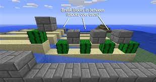 Instead of making another long excursion just to search for more cactus, is it possible to plant what little i have in such a way that it will grow more if so, what is required for cactus to grow? Creating Killer Cacti How To Make A Cactus Farm In Minecraft Minecraft Wonderhowto