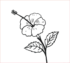 Gambar sketsa bunga anggrek untuk mewarnai sama seperti bunga anggrek pada umumnya, hanya saja biasanya bunga anggrek ini di bentuk baik dalam bentuk mekar, hingga dalam bentuk kuncup. 50 Gambar Sketsa Bunga Indah Dan Mudah Sakura Mawar Melati Matahari Anggrek Tulip Lengkap