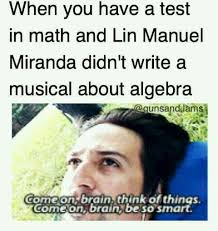 Hamilton Ham Meme Hamilton Memes Hamilton Funny Hamilton Musical