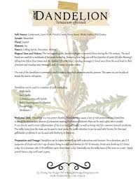 Pin On Herbs