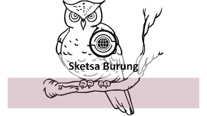 Kalau kamu sukanya burung apa? Halaman Download 301 Kumpulan Sketsa Gambar Burung Merpati Hantu Elang Garuda