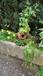 Alte Futtertroge Findet Ihr Auf Quoka De Sie Eignen Sich Super Als Blumenkasten Oder Fur Sukkulenten Pflanzen Garten Pflanzen Kaufen