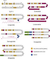 Chemical structures of liraglutide and semaglutide. Peptide Sequences And Molecular Structures Of Fda Approved Glp 1 Ras Download Scientific Diagram