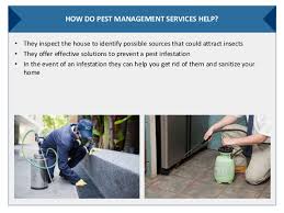 We help to control pest infestation of any kind. Pest Control Experts In West Palm Beach Fl