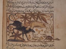 The fables were translated into arabic. Kalila Wa Dimna The Mosaic Rooms