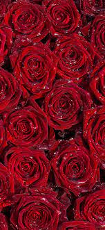 You can also upload and share. Red Roses Background Wallpaper Iphone Pro Ma Wallpaper Rose Rosse Sfondo Rosso Sfondi Per Iphone