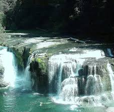 We did not find results for: Lewis River Lower Falls Amboy 2021 All You Need To Know Before You Go With Photos Tripadvisor