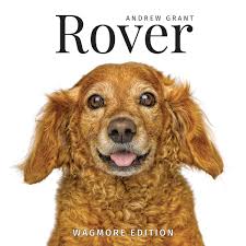Namely, many of our furry friends are out there, on the streets. Rover Wagmore Edition By Andrew Grant