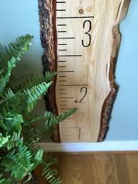 Live Edge Growth Chart Free Ship Growth Chart Ruler