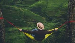 Check spelling or type a new query. Segaranya 6 Kebun Teh Bandung Ini