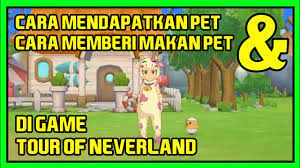 Cara Mendapatkan Pet Cara Memberi Makan Pet Di Game Tour Of Neverland Youtube