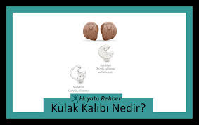 Kulak Kalibi Nedir Kulak Rehber Egitim