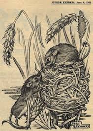 Image result for phil rushton comics