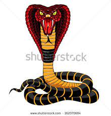 Pin By Rodolfo On Cobras Snake Illustration Cobra Snake Cobra Art