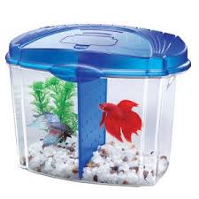 In this family daily vlog we take a trip. Aqueon Betta Bowl Starter Kit Aquariums Petsmart Betta Fish Bowl Betta Fish Tank Betta Fish