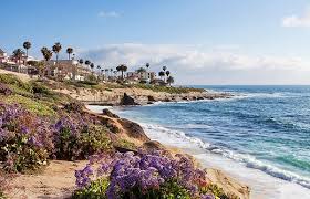 I discovered this trail on accident by turning on the wrong street almost 10 years ago! La Jolla Cove Things To Do The Surfer Beach Hotel