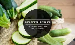 Maybe you would like to learn more about one of these? Zucchini Vs Cucumber Do You Think You Know The Difference By Dr Atray Bhatt Lybrate