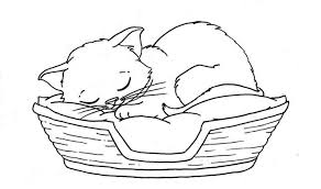 1001 Exemples Et Tutoriels Comment Dessiner Un Chat Comment Dessiner Un Chat Dessin De Chat Mignon Dessin Chat