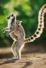 Discover Your World S Photos Discover Your World Facebook Nature Animals Animals Animals Wild