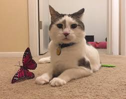 2019 OHS Photo Contest Winners