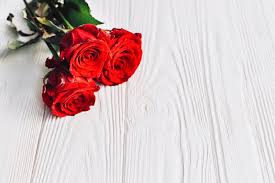 Silakan klik gambar vas bunga 3d sketsa untuk melihat artikel selengkapnya. Contoh Gambar Bunga Mawar Kuning 50 Gambar Bunga Mawar Rose Beserta Klasifikasi Jenis Jenisnya Kumpul Rosas Vermelhas Flor Rosa Preta Belas Rosas Vermelhas