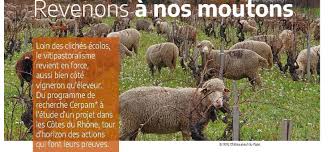 La personne qui enlève la laine du mouton s'appelle un tondeur. Revenons A Nos Moutons