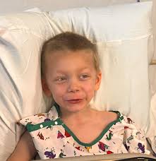 VRBO pulled his bowl onto his bed to really get after it!