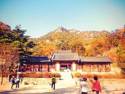 Korea incheon ganghwado foto gratis di pixabay. Wisata Keluar Negeri Dengan Menyusuri Alam Korea Selatan Di Pulau Jeju