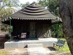 Welcome To Sanjay Gandhi National Park ...