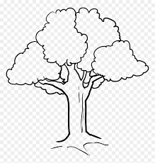 Check spelling or type a new query. Tree Clipart Black And White Png Transparent Png Vhv