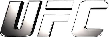 What makes transparent logos special? Ufc Logo Png