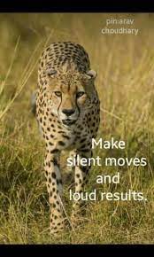 Be A Silent Cheetah Quotes Aravchoudhary Qoutes Qoutes Inspirational Quotes Silent
