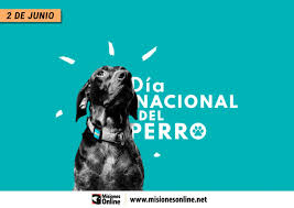 Pedri le cedió el cuero desde lejos y el meta, confiado, lo quiso controlar con el pie derecho. Por Que Se Celebra Hoy El Dia Nacional Del Perro En Argentina Misionesonline