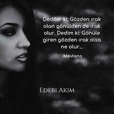 Dediler Ki Gozden Irak Olan Gonulden De Irak Olur Dedim K Guzel Soz Ozlu Sozler Alintilar