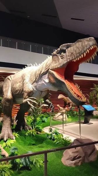 tahir solo museum