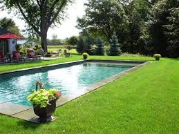 35 Luxury Swimming Pool Designs To Revitalize Your Eyes Small Inground Pool Swimming Pools Inground Backyard Pool Landscaping