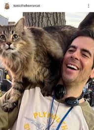 Fun fact: The same cat featured in the Pet Sematary remake also appeared in  Thanksgiving. His name is Tonic.