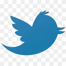 Do you want transparent twitter png logo, twitter icon, twitter animated gif, facebook stickers? Free Blue Twitter Logo Png Transparent Images Pikpng