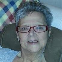 Barbara Ann Daum Obituary