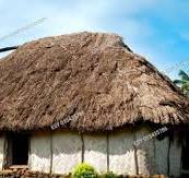 A bure (thatch-roofed home) in Fiji