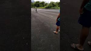 Snake Attack At Srpf Camp Goregaon East Youtube Srpf camp is located in maharashtra, amravati, na india.