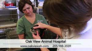 Search for other veterinary specialty services in birmingham on the real yellow pages®. Oak View Animal Hospital In Pelham Al Vets In Pelham Al