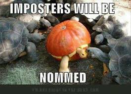 Imposter Turtles Funny Funny Animals Funny Animal Pictures