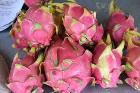 Noyaux Pepins Germinations Faciles En Interieur En 2020 Noyau Pepin Fruits Exotiques