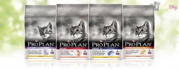 Tavsiye Edilen Kisirlastirilmis Kedi Mama Markalari Kedi Blog