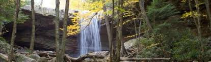 We did not find results for: Campground Details Ohiopyle State Park Pa Pennsylvania State Parks