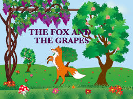 The grapes seemed ready to burst with juice the bunch hung from a high branch, and the fox had to jump for it. The Fox And The Grapes By Milena On Dribbble